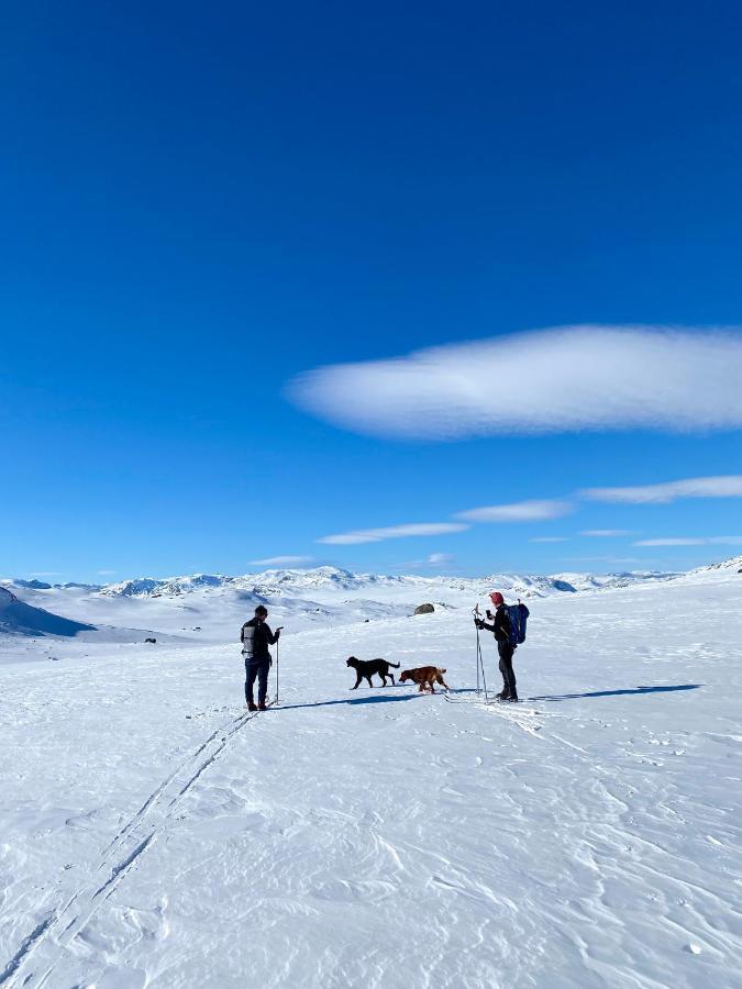 Hyggelig Leilighet I Sentrum Hemsedal Eksteriør bilde