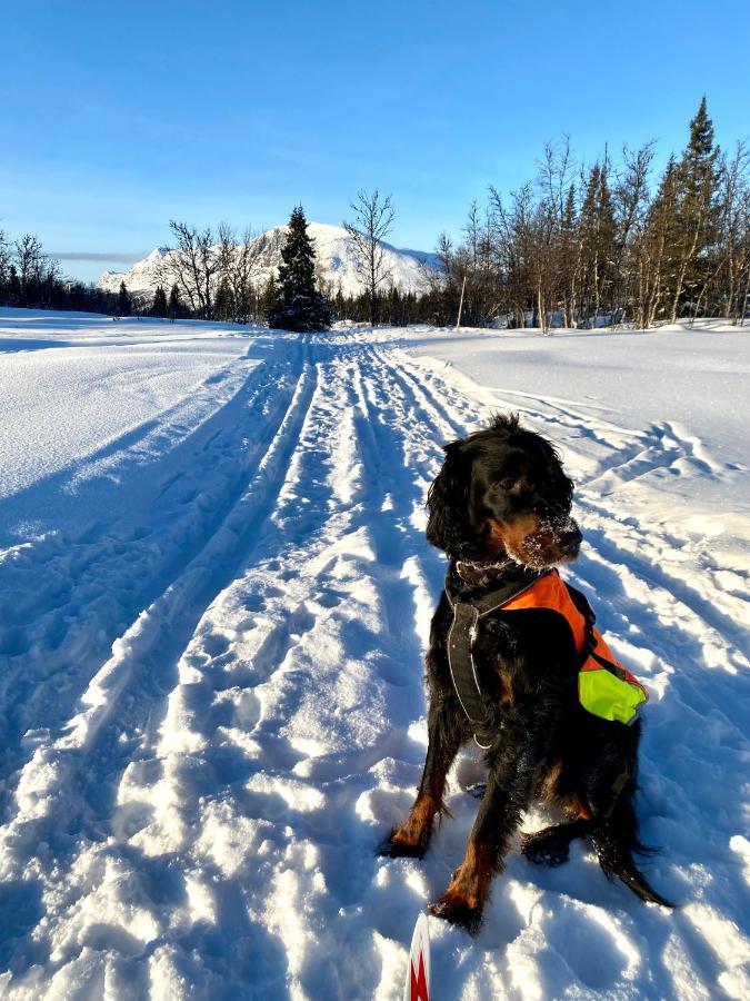 Hyggelig Leilighet I Sentrum Hemsedal Eksteriør bilde