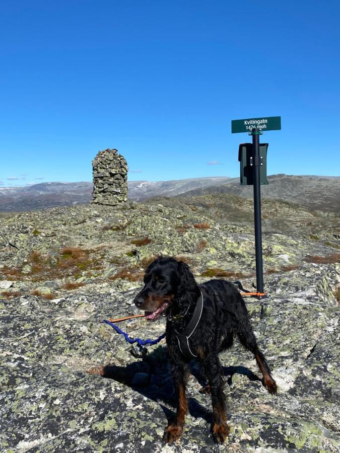 Hyggelig Leilighet I Sentrum Hemsedal Eksteriør bilde