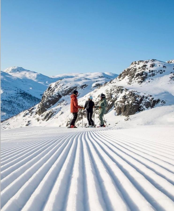 Hyggelig Leilighet I Sentrum Hemsedal Eksteriør bilde