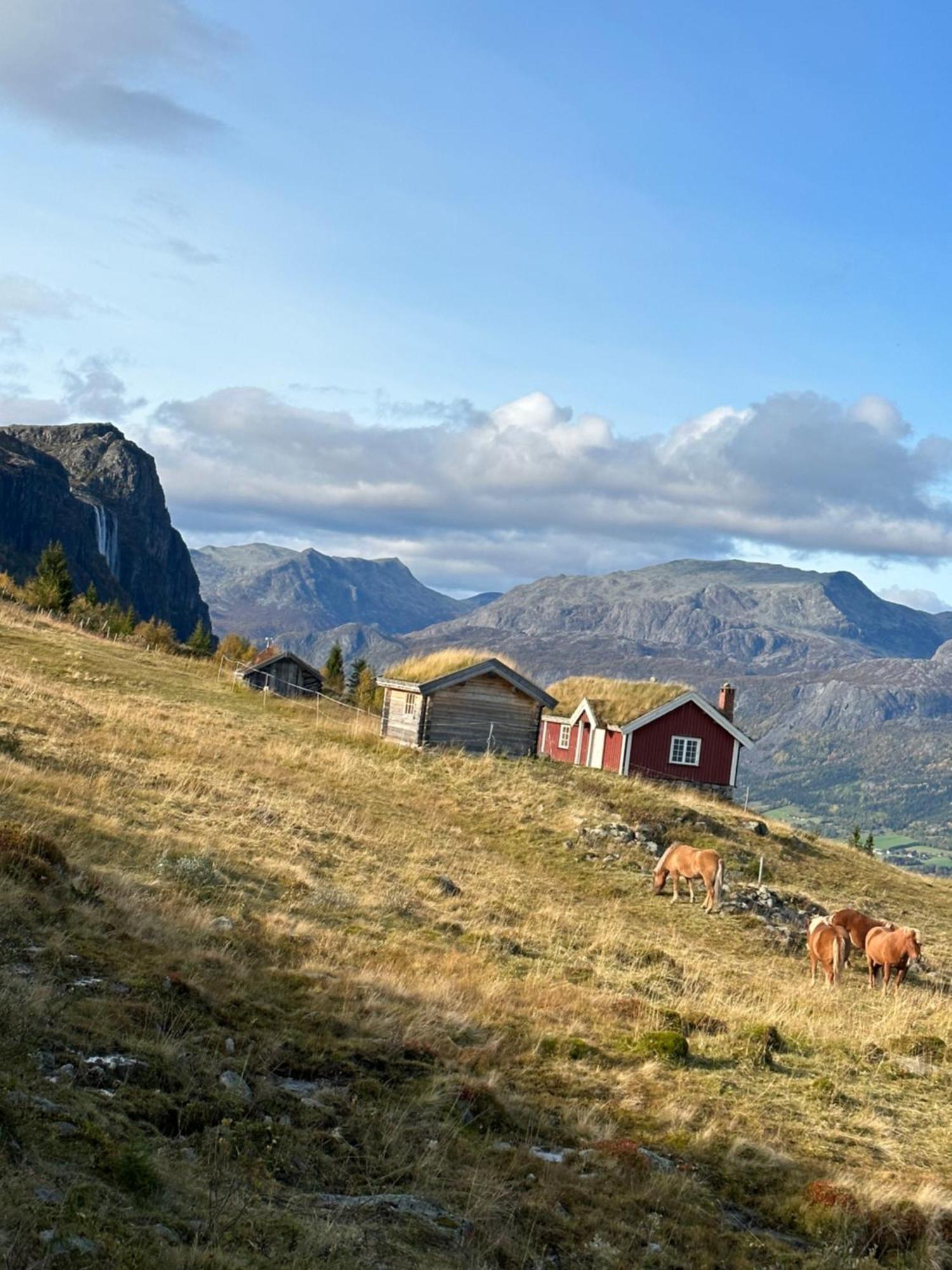Hyggelig Leilighet I Sentrum Hemsedal Eksteriør bilde